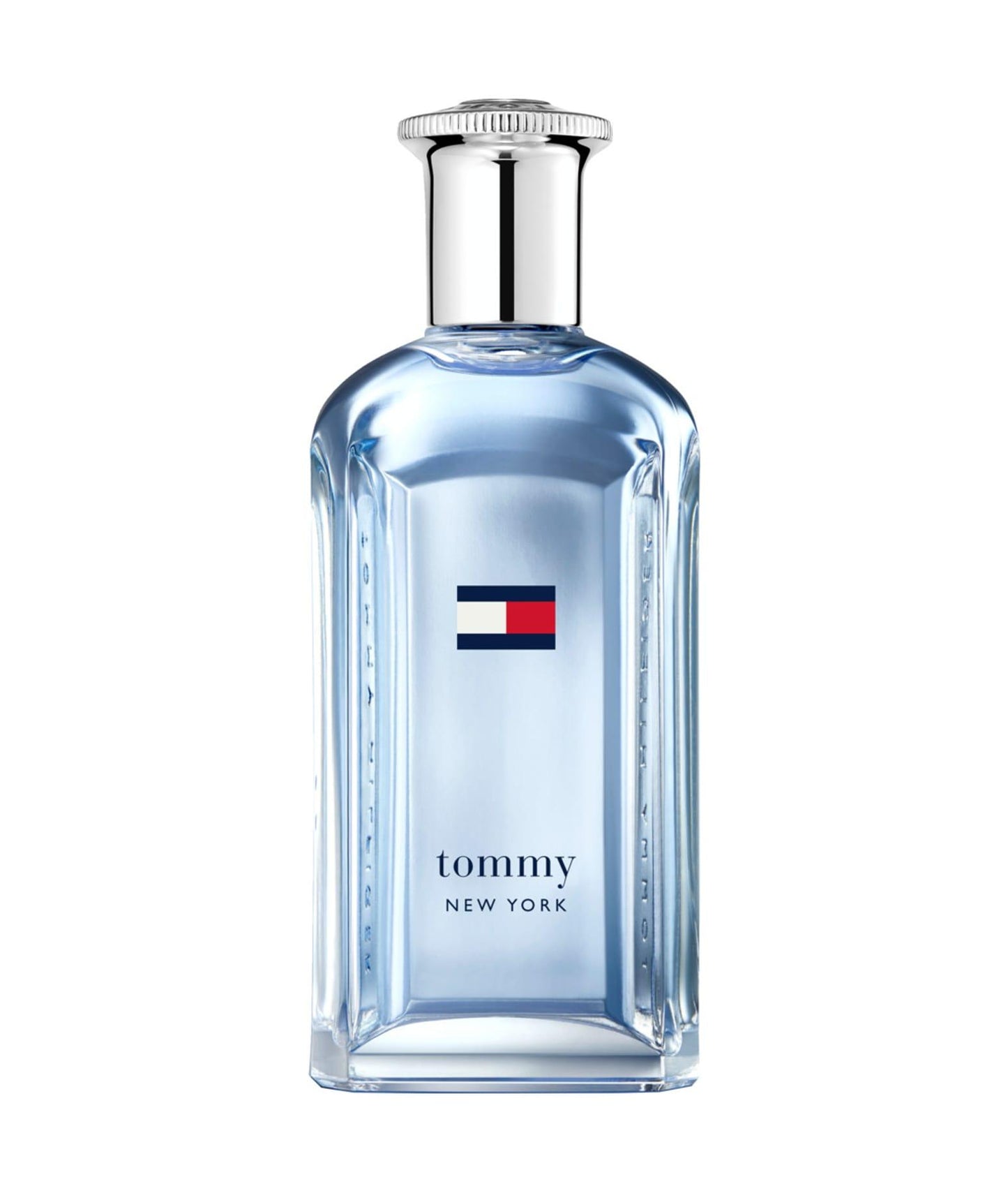 Tommy Hilfiger Tommy New York Eau De Toilette 100 ml (man)