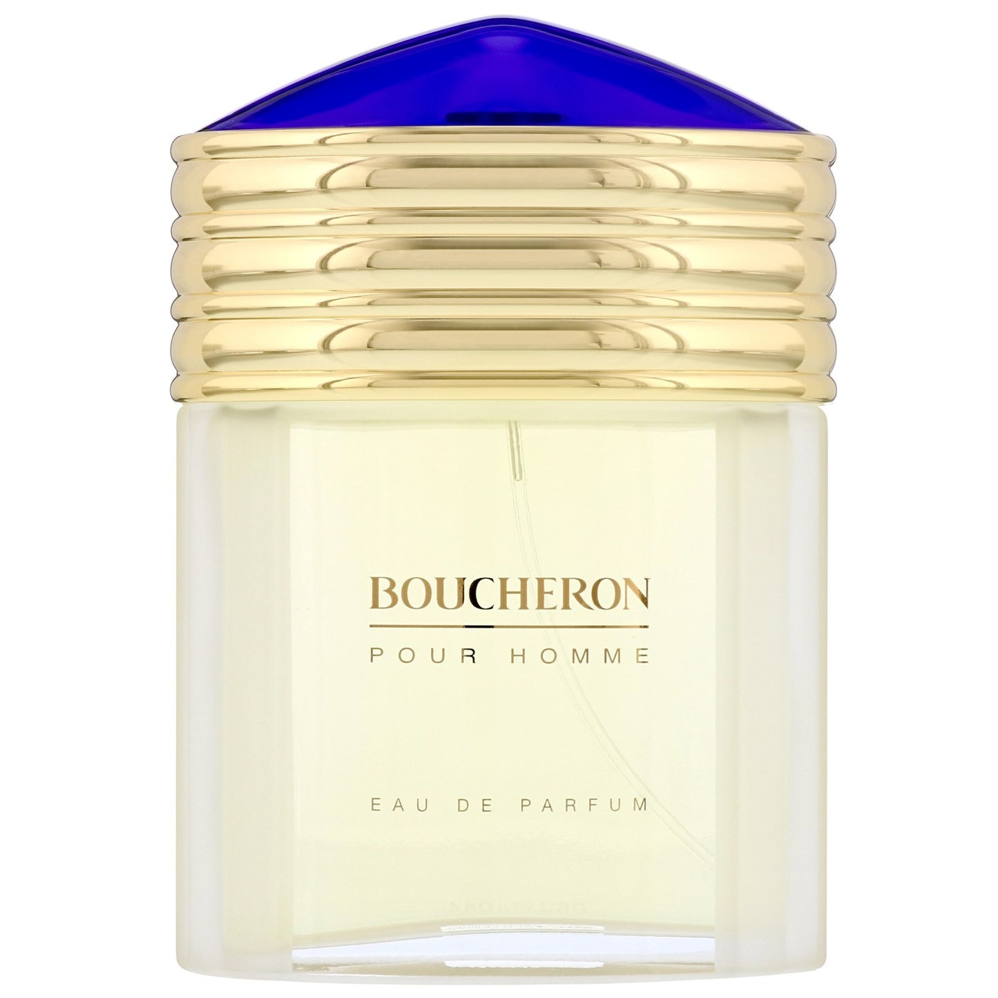 Boucheron Pour Homme Eau De Toilette 100 ml (man)