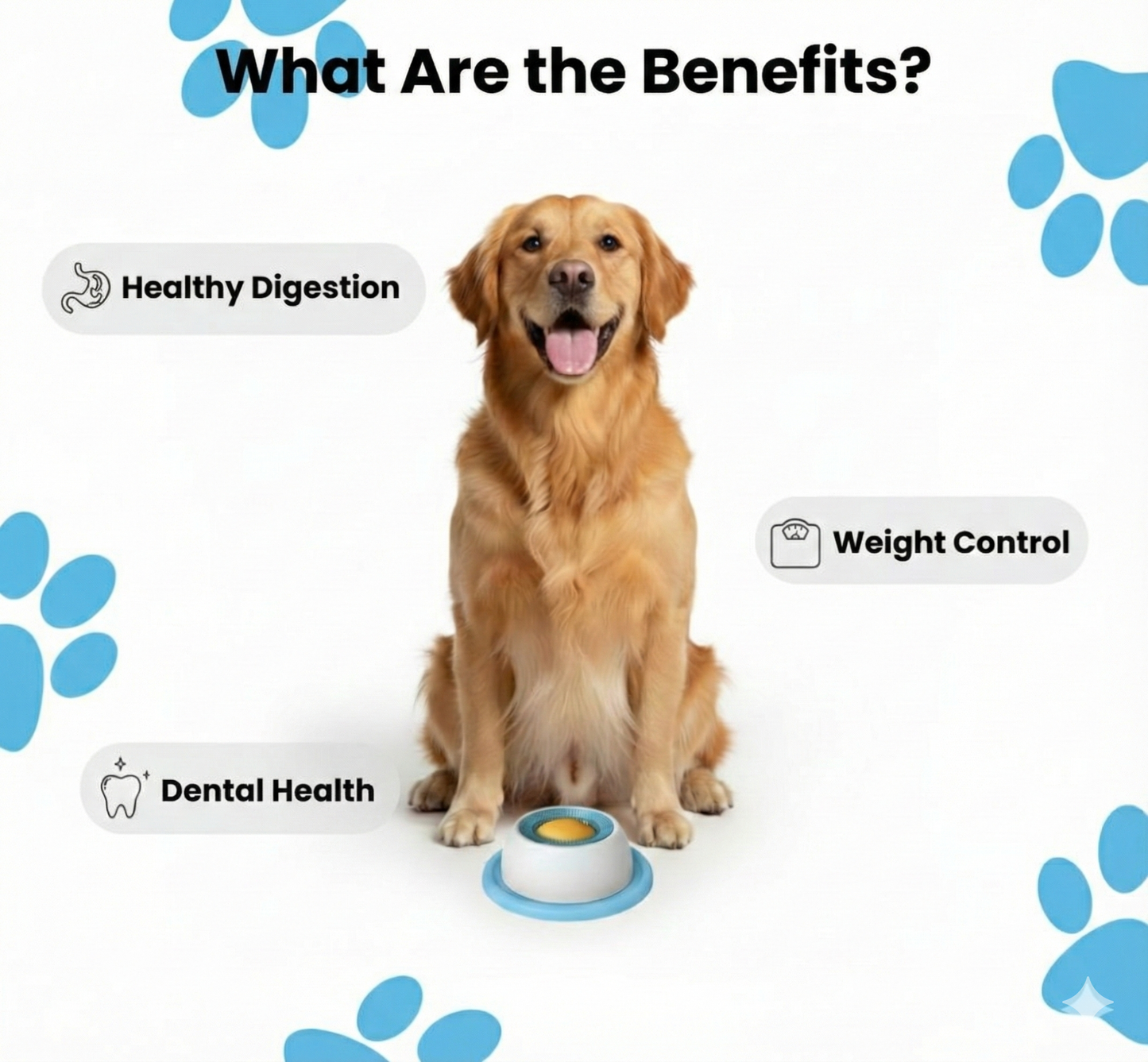 Interactive Anti-Anxiety Licking Bowl