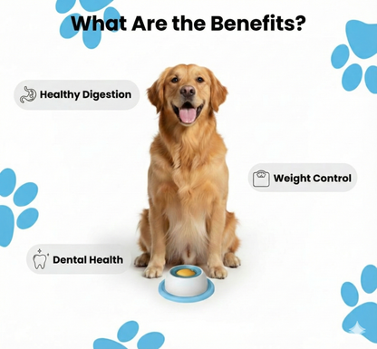 Interactive Anti-Anxiety Licking Bowl