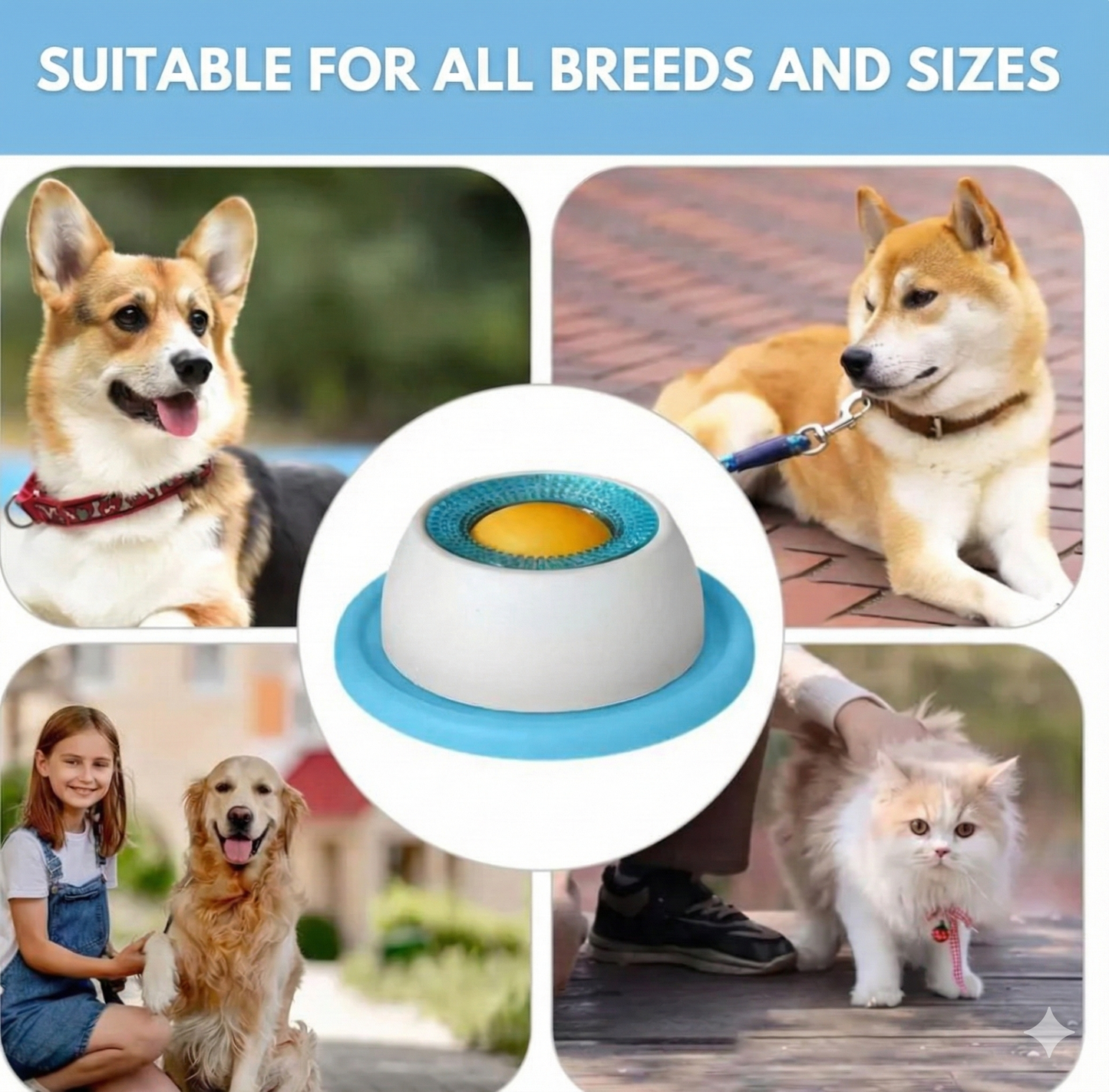 Interactive Anti-Anxiety Licking Bowl