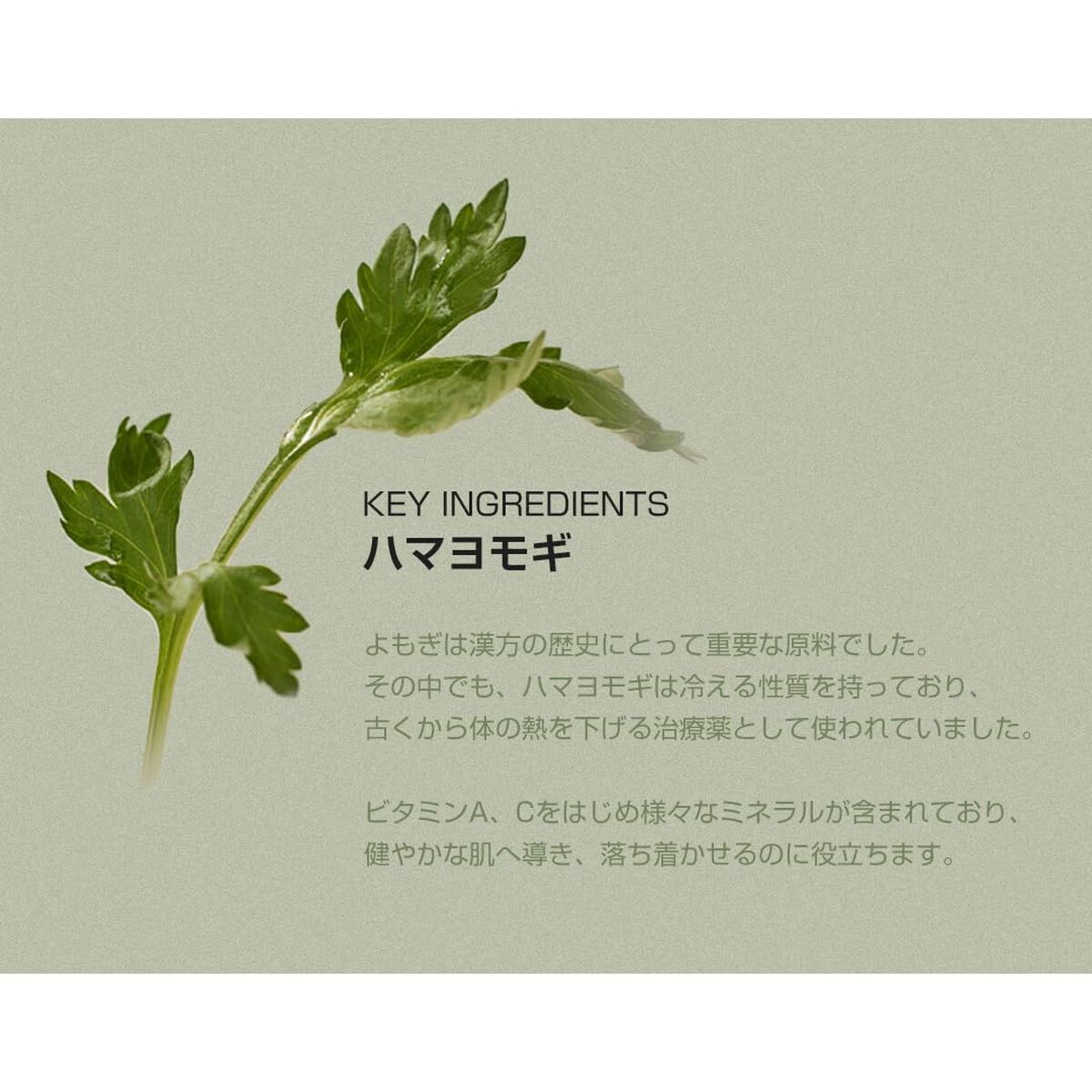 Beauty of Joseon Matte Sun Stick Mugwort + Camelia SPF 50 18 g
