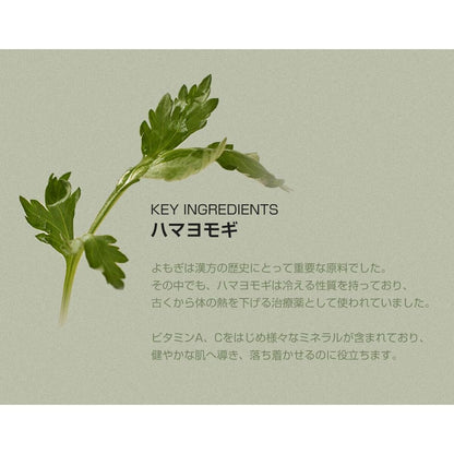 Beauty of Joseon Matte Sun Stick Mugwort + Camelia SPF 50 18 g